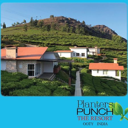 Вілла Planters Punch Уті Екстер'єр фото