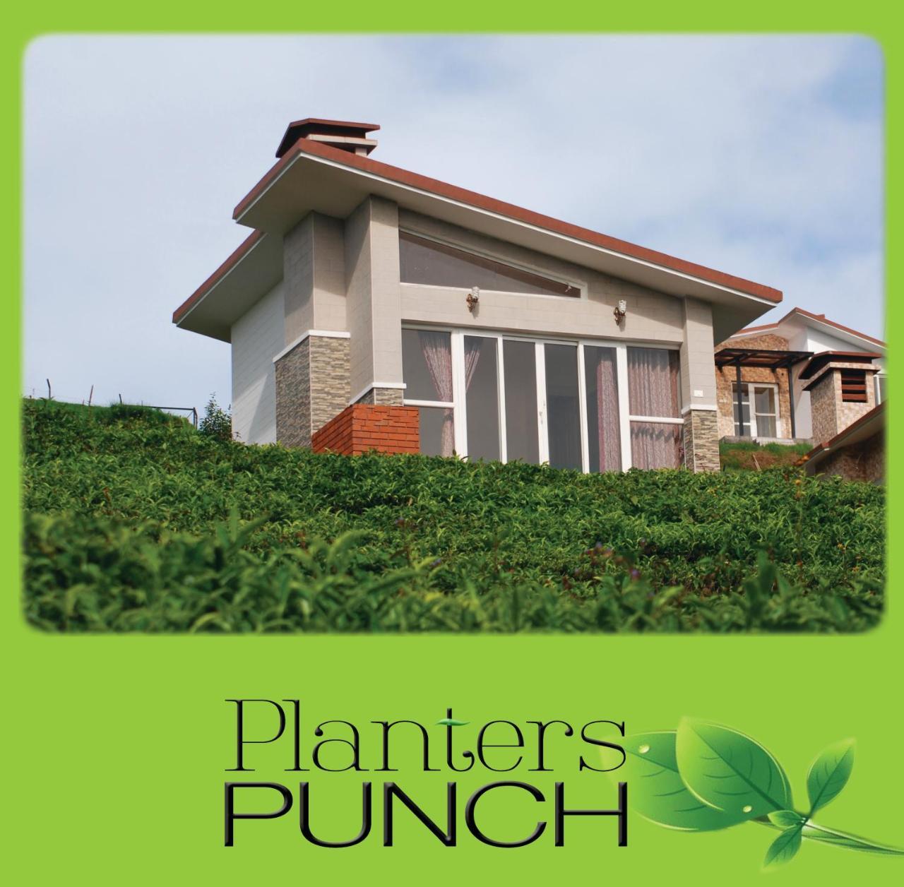 Вілла Planters Punch Уті Екстер'єр фото