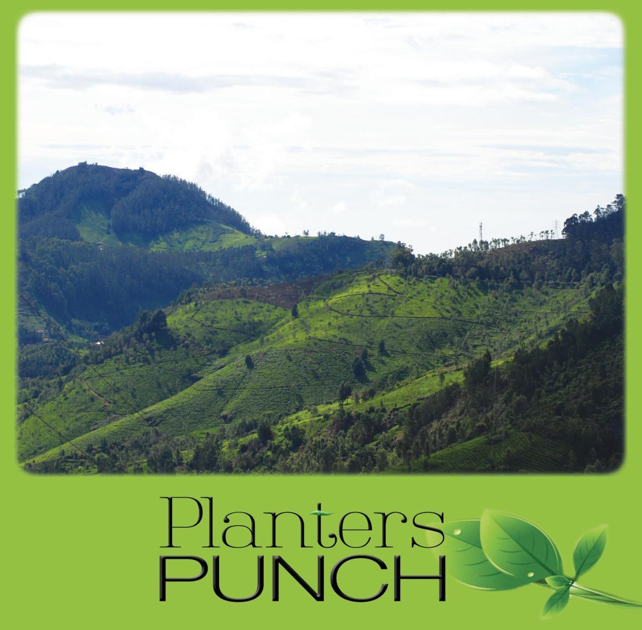 Вілла Planters Punch Уті Екстер'єр фото