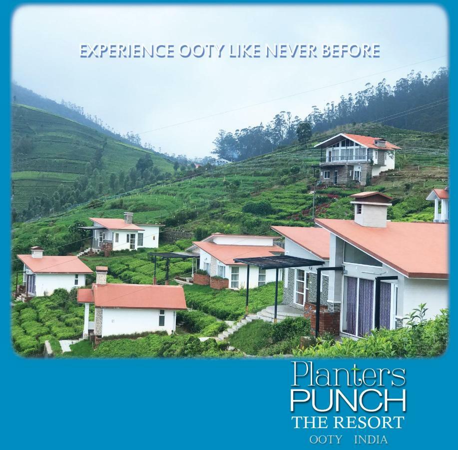 Вілла Planters Punch Уті Екстер'єр фото